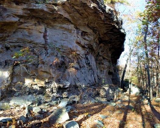 bearcavetrailpetitjeanstateparkarkansas.jpg