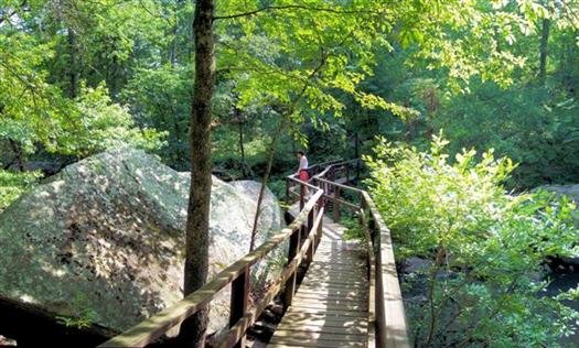 cedarcreektrailpetitjeanstateparkarkansas.jpg