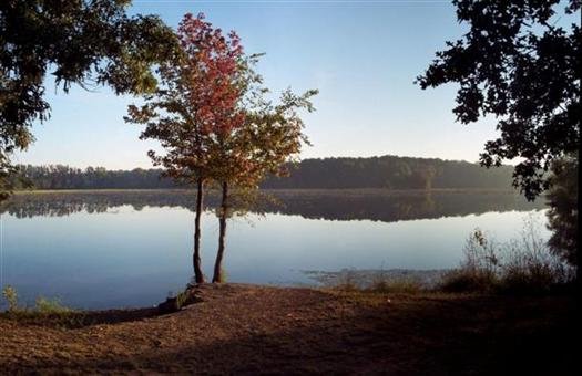 lakebaileypetitjeanstateparkarkansas16.jpg