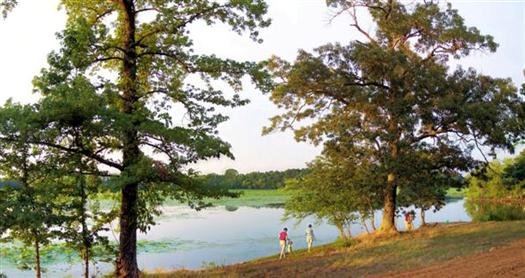 lakebaileypetitjeanstateparkarkansas3.jpg