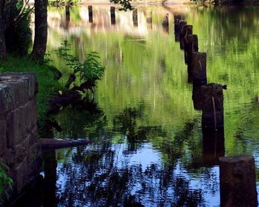 lakebaileyreflectionspetitjeanstateparkarkansas.jpg