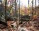 sevenhollowshikingtrailpetitjeanstateparkarkansas18_small.jpg