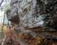 sevenhollowshikingtrailpetitjeanstateparkarkansas32_small.jpg