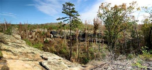 sevenhollowshikingtrailpetitjeanstateparkarkansas37.jpg