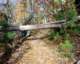 sevenhollowshikingtrailpetitjeanstateparkarkansas42_small.jpg