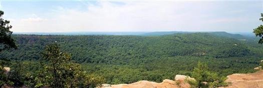 viewfromredbluffdriveoverlookpetitjeanstateparkarkansas.jpg