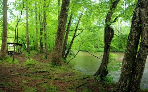 oconalufteeriver.jpg