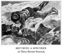 Securing a Speciman at Hell-Broth Springs