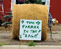 What the Hay, Farmer in the Bale, Montana, 2007