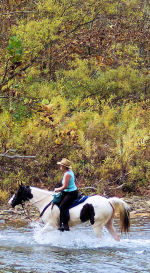 Woman on horse crossing the river - Buffalo National River, Arkansas